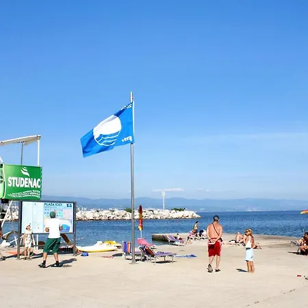 With A Parking Space Icici, Opatija - 7822 公寓 Ičići